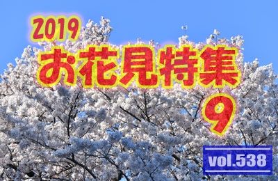 vol.538：2019年 お花見特集 第９弾